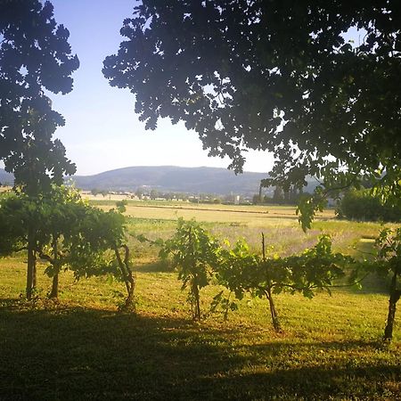 Claudia Vacanza Toscana - Appartamento Melograno -10 Min Da Siena Sovicille Exteriör bild