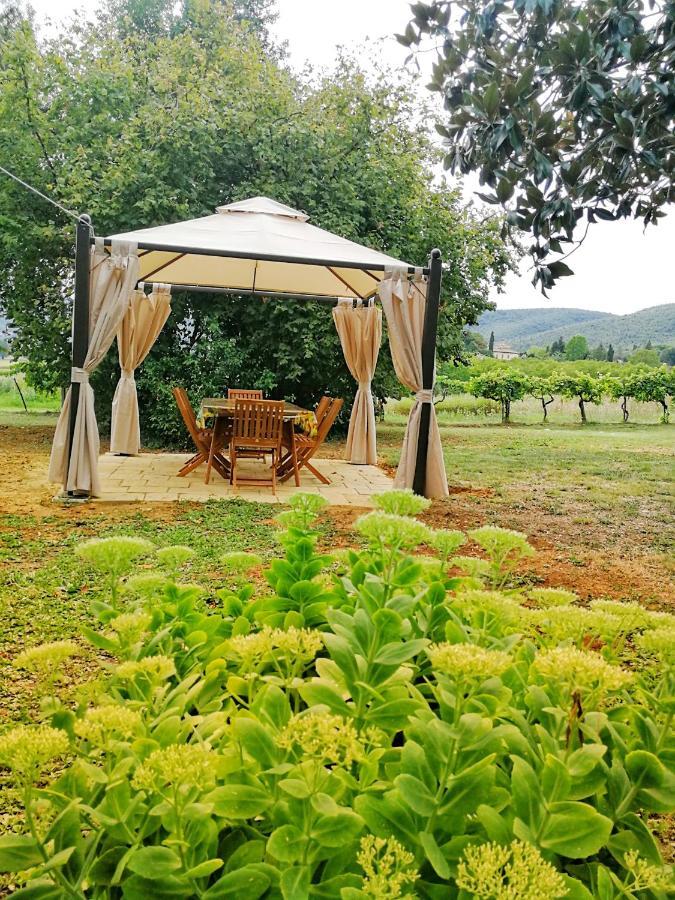 Claudia Vacanza Toscana - Appartamento Melograno -10 Min Da Siena Sovicille Rum bild