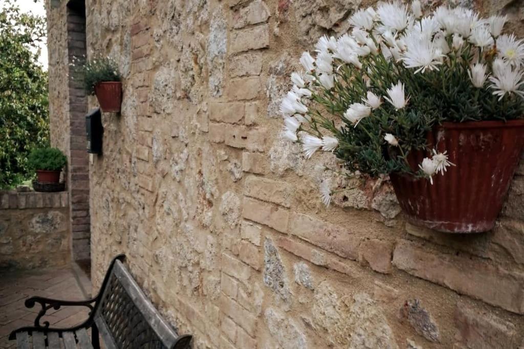 Claudia Vacanza Toscana - Appartamento Melograno -10 Min Da Siena Sovicille Exteriör bild